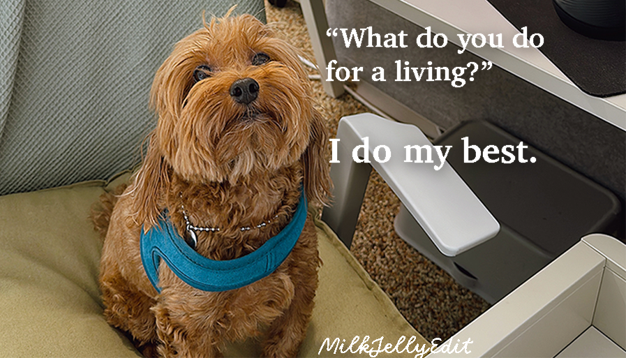 Introduction to MilkJellyEdit